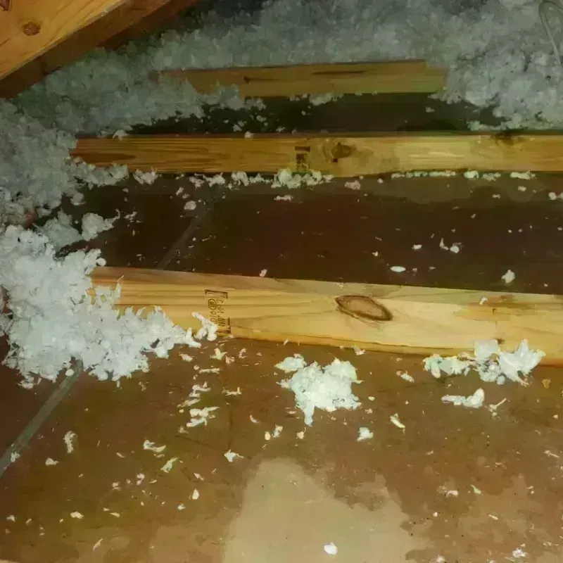 Attic Water Damage in West Warwick, RI